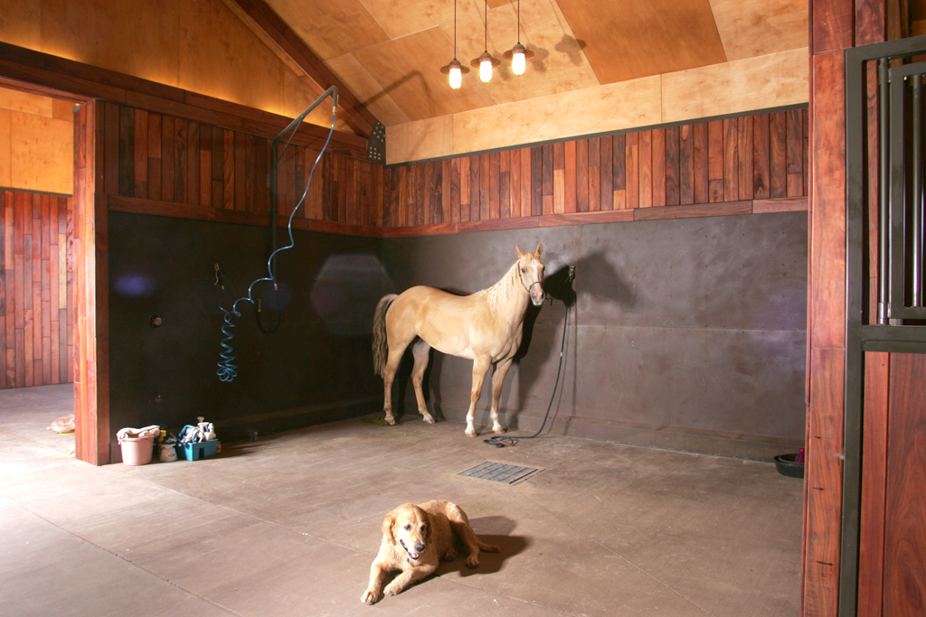 Designing a Safe and Functional Wash Bay